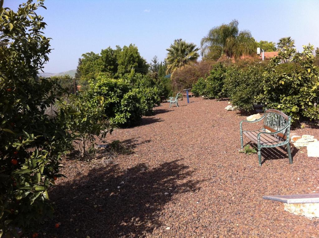 Arbel Guest House Shavit Family ห้อง รูปภาพ