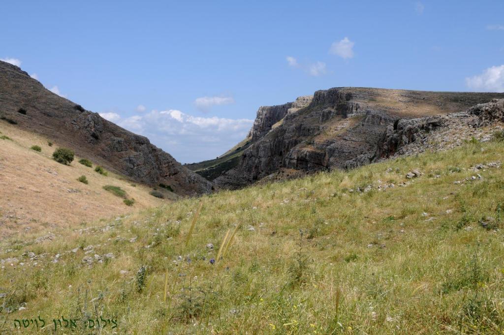 Arbel Guest House Shavit Family ภายนอก รูปภาพ