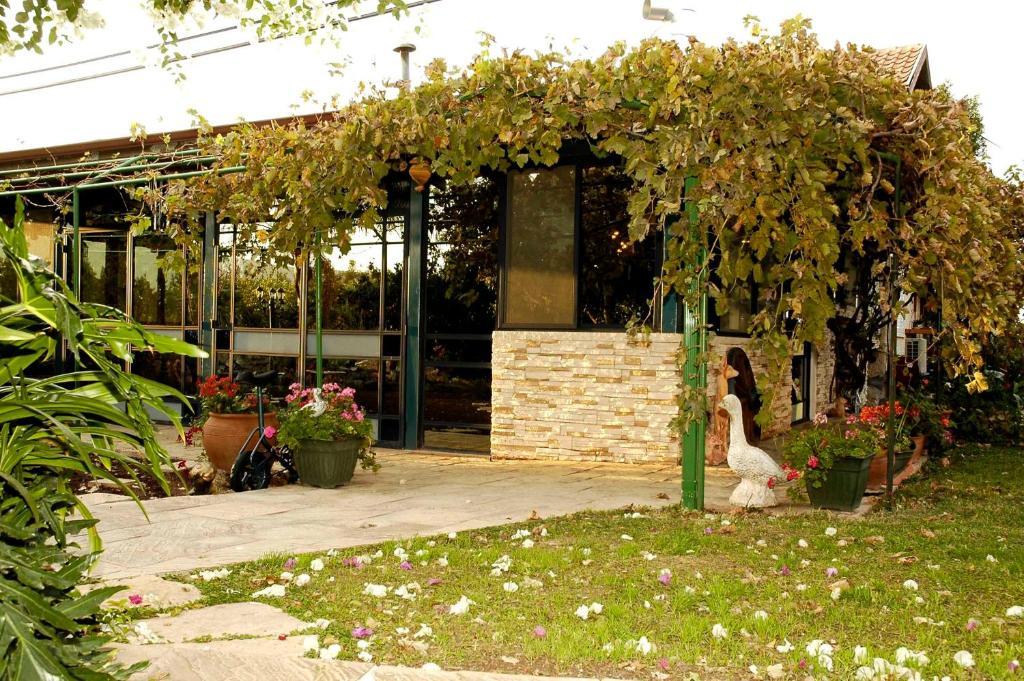 Arbel Guest House Shavit Family ภายนอก รูปภาพ