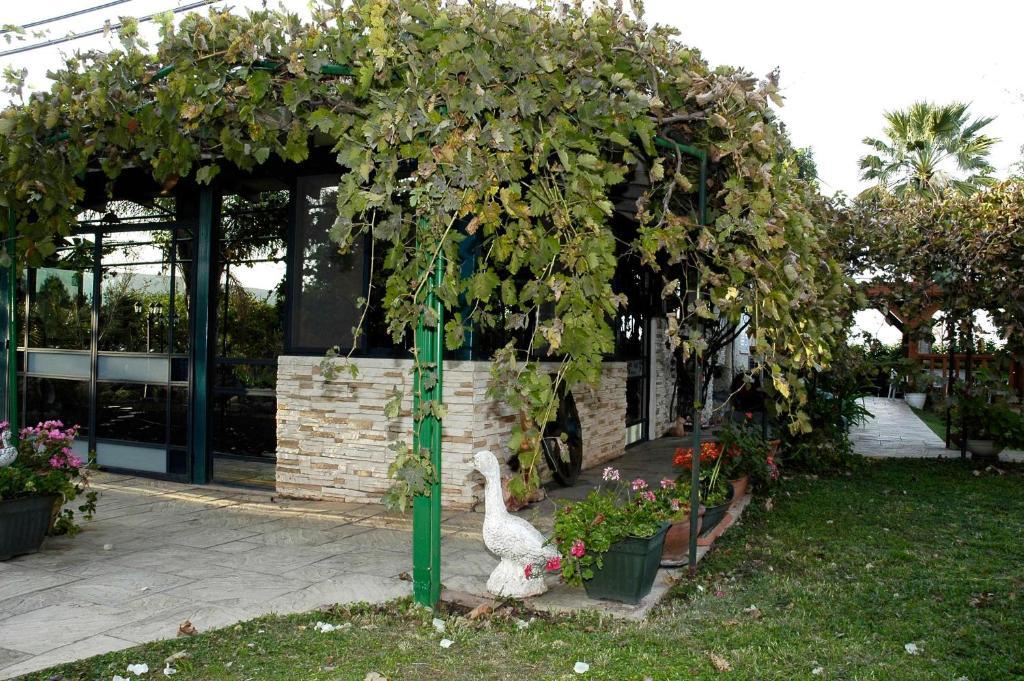 Arbel Guest House Shavit Family ภายนอก รูปภาพ