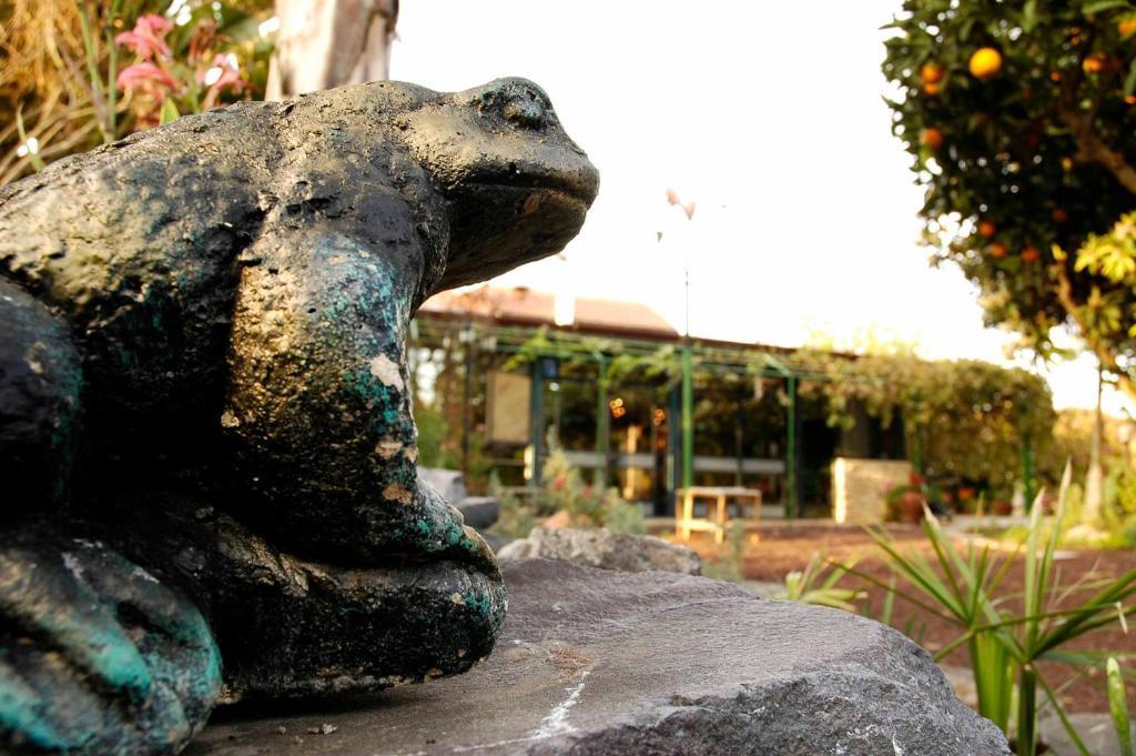 Arbel Guest House Shavit Family ภายนอก รูปภาพ