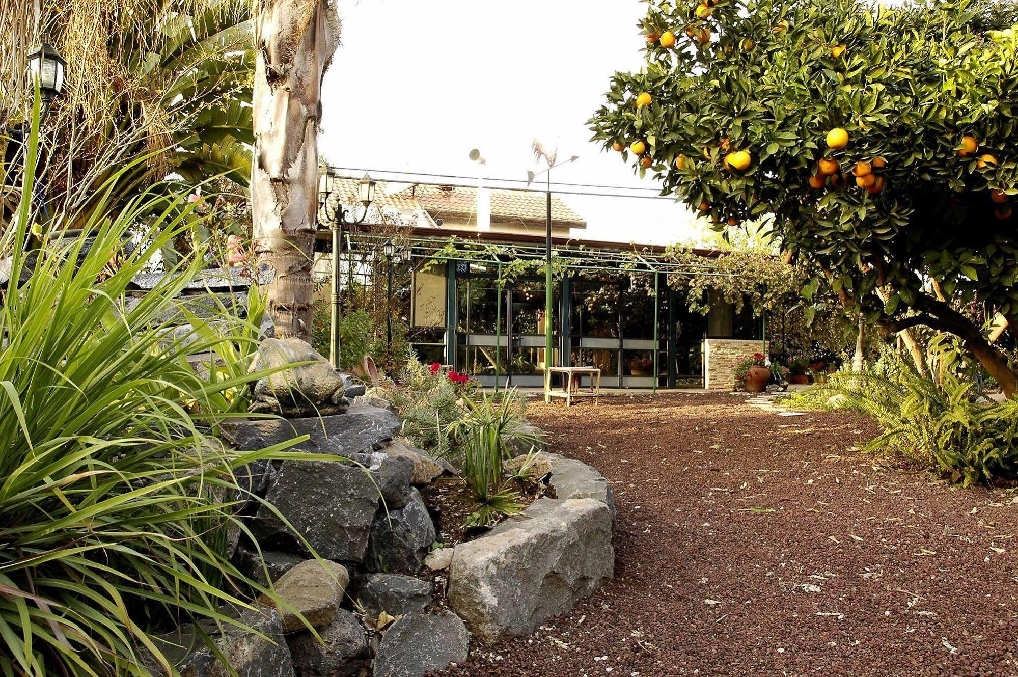 Arbel Guest House Shavit Family ภายนอก รูปภาพ